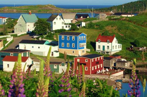 Trinidad Terranova Canadá codigo de promocion Booking.com