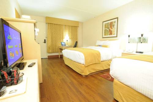 Regina Saskatchewan 
Kanada Promo-Code Booking.com