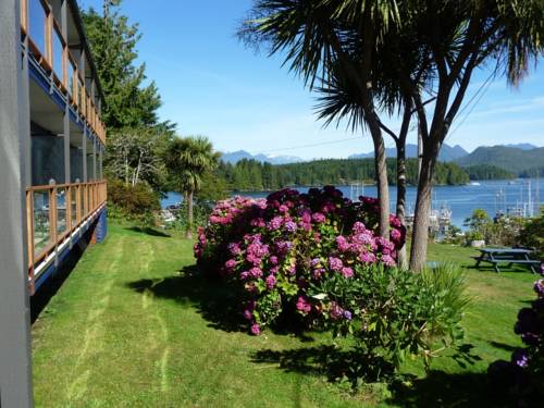 Tofino Columbia Británica Canadá codigo de promocion Booking.com