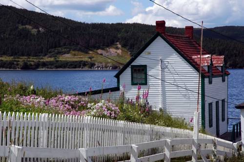 Trinidad Terranova Canadá codigo de promocion Booking.com