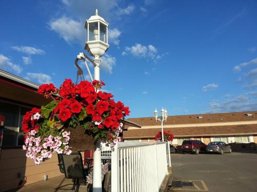 Dawson Creek (BC) Canada Promo Code Agoda.com