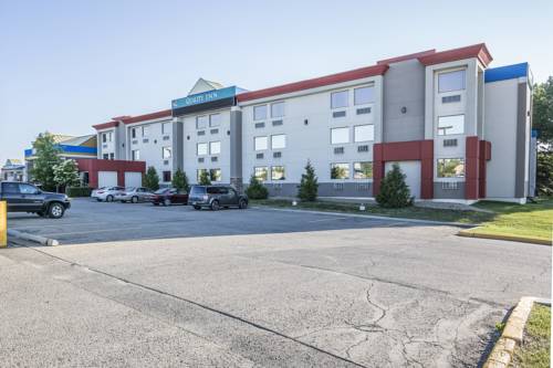 Ciervo rojo Alberta Canadá codigo de promocion Booking.com