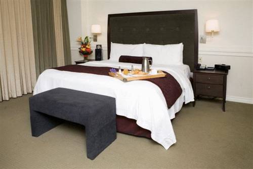 Edmonton (Alberta) Canada Hotel