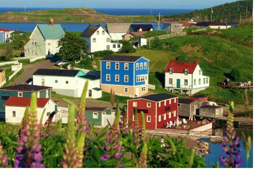 Trinidad Terranova Canadá codigo de promocion Booking.com