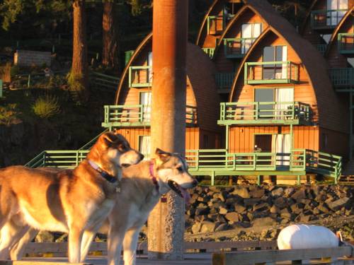 Île Quadra Colombie-Britannique Canada code promo Booking.com