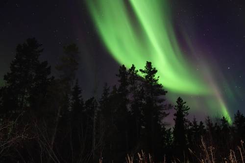 Whitehorse (Yukon) Canada Promo Code Booking.com