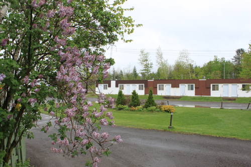 Blainville Québec Canada code promo hôtel Booking.com