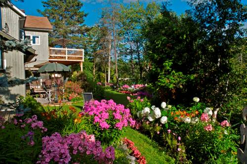 Mont-Laurier (Québec) Canada promotiecode booking.com