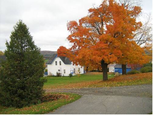 Saint-Isidore-de-Clifton (Quebec) Canada promotiecode booking.com