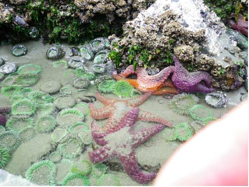 Salt Spring Island (British Columbia) Canada promotiecode booking.com