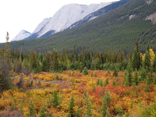 Whitehorse (Yukon) Canada promotiecode booking.com